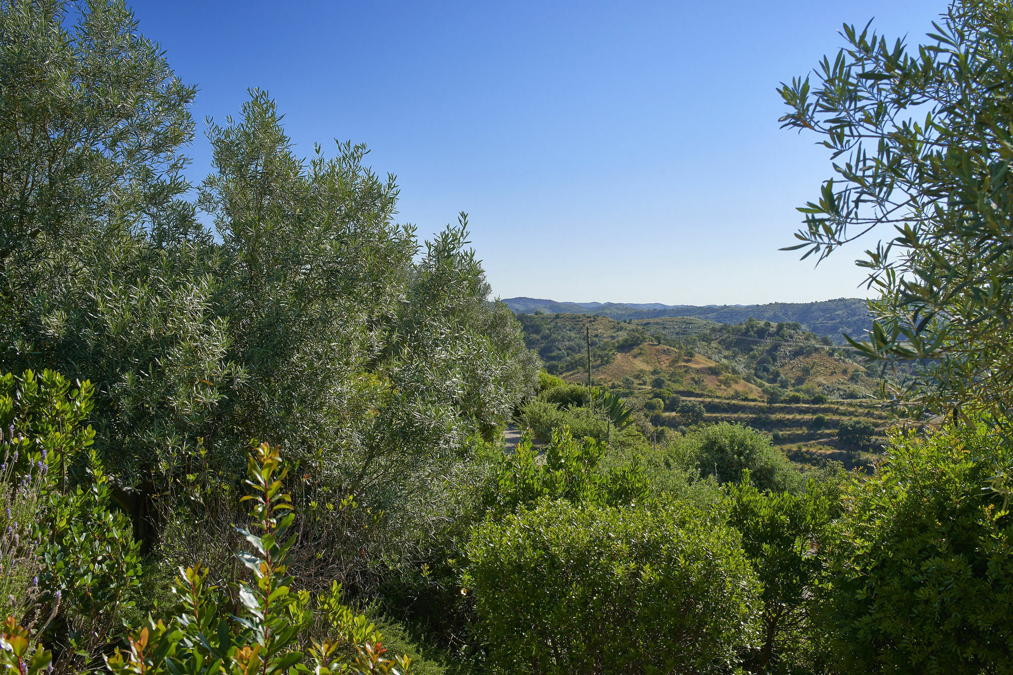 Hotel Rural Quinta Do Marco - Nature & Dining Ταβίρα Εξωτερικό φωτογραφία